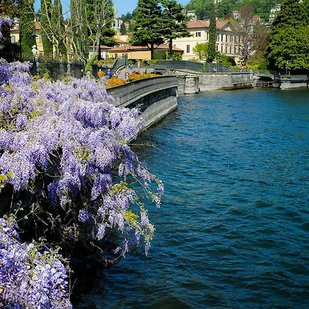 My Wonderful In * Como